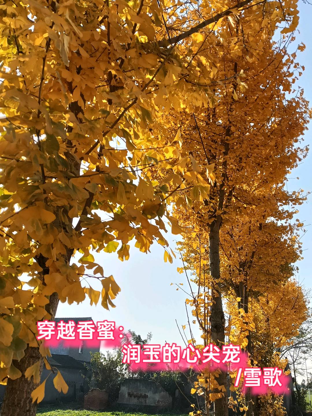 穿越香蜜：润玉的心尖宠